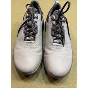 ECCO BIOM H4 Men’s Gore-Tex GTX Hybrid Golf Shoes Gray Titanium Size 11-11.5